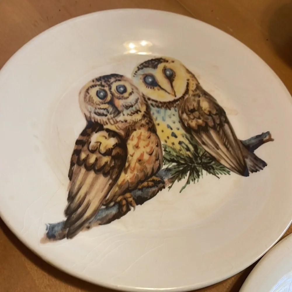 Vintage style owl salad plates and mugs